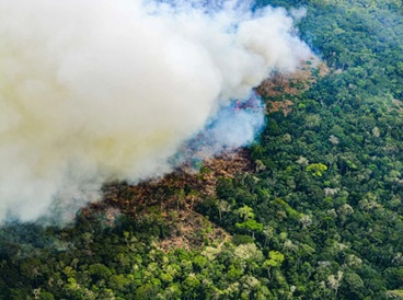 Perú perdió once veces el tamaño de Lima Metropolitana en bosques de la Amazonía: ¿Qué factores incidieron más?