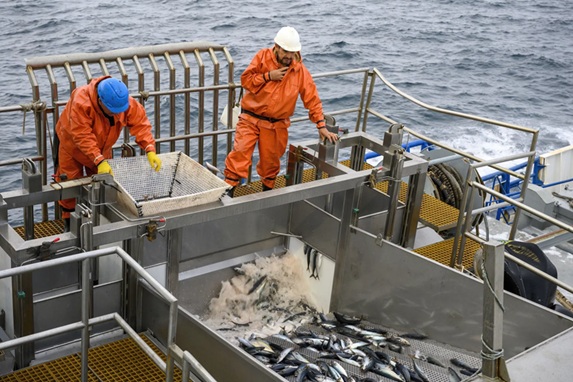 ALPESCAS destaca sostenibilidad en desembarques pesqueros en América Latina y Caribe
